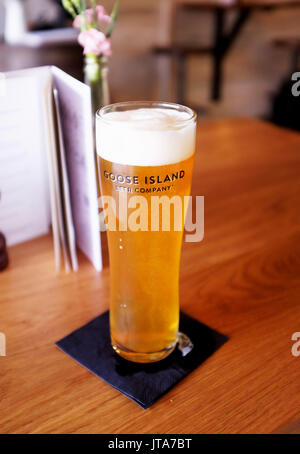 Glass of Goose Island beer brewed in Chicago USA Stock Photo