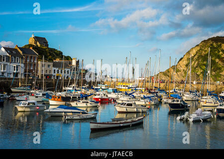 Boat harbour of Ifracombe, North Devon, England, United Kingdom, Europe Stock Photo