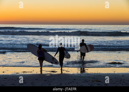 Surfers walking with their surfboards in the ocean at sunset, Del Mar, California, United States of America, North America Stock Photo