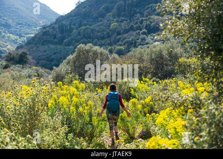 A woman hiking a trail full of abundant wild flowers on the Mani Peninsula in the Peloponnese, Greece, Europe Stock Photo