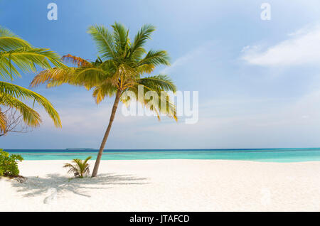 Tropical beach scene, Coco Palm Resort, Dhuni Kolhu, Baa Atoll, Republic of Maldives, Indian Ocean, Asia Stock Photo