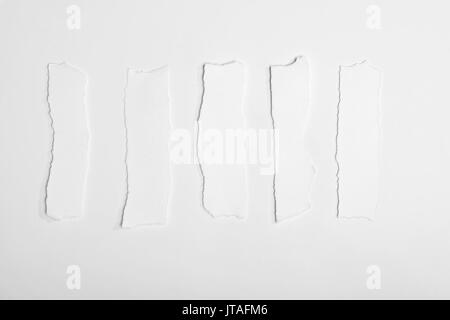 top view of torn empty white note papers isolated on white   Stock Photo