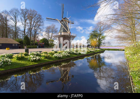 Windmill at Keukenhof Gardens, Lisse, Netherlands, Europe Stock Photo