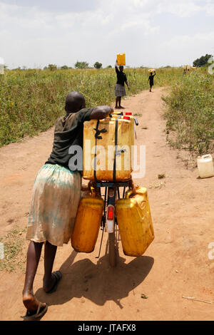 Water chore, Masindi, Uganda, Africa Stock Photo
