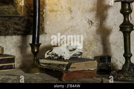 Animal skull with old books, detail of antique decoration Stock Photo