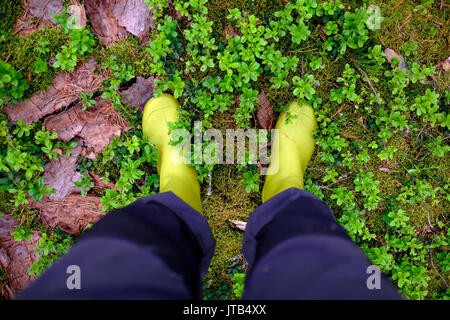 A person in boots stands in a forest on a moss. Stock Photo