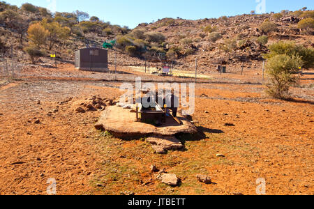 flora and fauna sanctuary Broken Hill New South Wales Australia Stock Photo