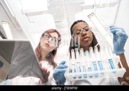 low angle view of scientists working together with reagents in laboratory Stock Photo