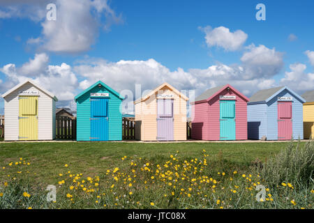 Beach huts, Amble, Northumberland, England, UK Stock Photo