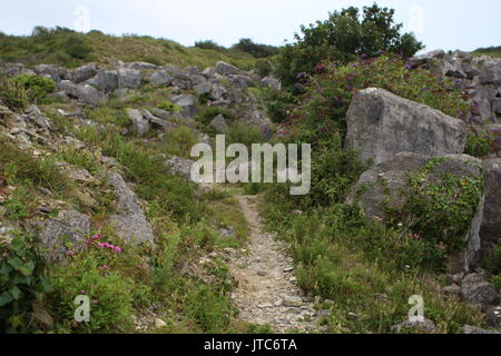 Sculptures at Portland Quarry, home to Portland limestone. Stock Photo