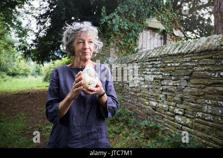 Giant puffball Stock Photo