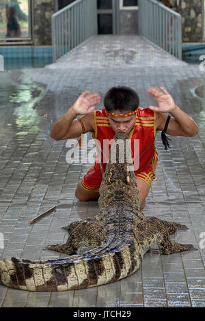 Crocodile show at Thailand with man kissing a large crocodile. A very precarious occupation and example of human animal interaction. Stock Photo