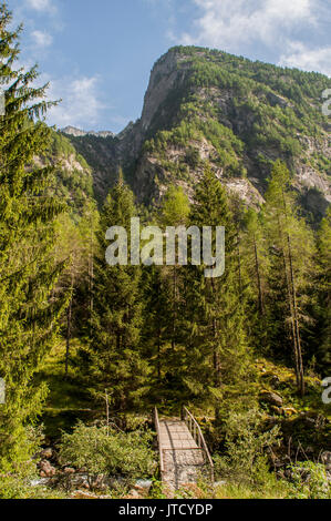 Wooden footbridge in the Mello Valley, Val di Mello, a green valley surrounded by granite mountains and forest trees, the italian Yosemite Valley Stock Photo