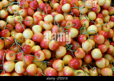 Close-up of fresh Rainier cherries on display in a market, Vancouver, BC, Canada Stock Photo
