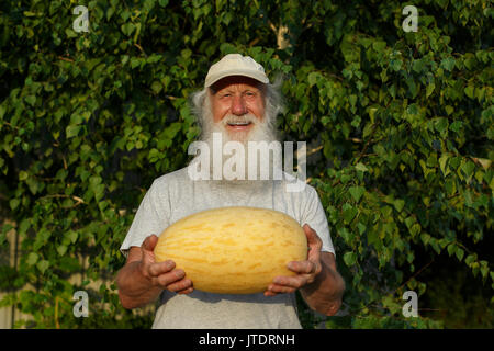 Organically grown ripe melon in man hands on natural wooden bachground. Farmer. Stock Photo