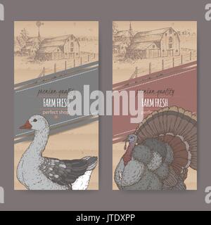 Two farm shop labels with farmhouse, barn, color goose and turkey on cardboard. Stock Vector