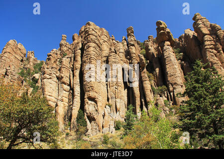 Organ Pipe rock hoodoos formation in Bonita Canyon, Chiricahua National Monument near Wilcox, in southern Arizona, USA. Stock Photo