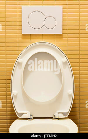 Modern toilet room with plastic flushing button Stock Photo