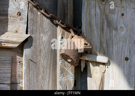locks on the old wooden door Stock Photo