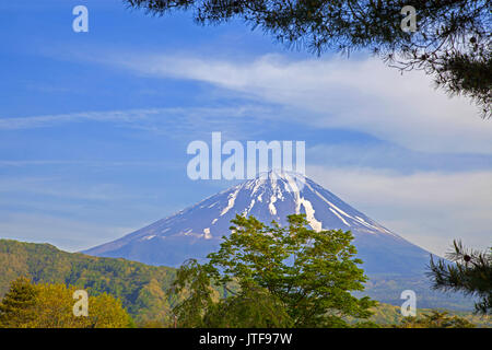 The traditional Japanese village of Saiko Iyashi no Sato Nemba Stock Photo