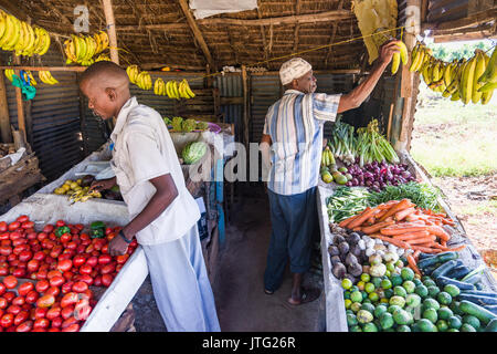 Two local Kenyan men in small fresh fruit and vegetable stall browsing products on sale, Diani, Kenya Stock Photo
