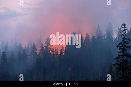 Roseburg, OREGON, USA. 8th Aug, 2017. A small lightning started wildfire burns on a forested hillside near Diamond Lake. Hot and dry conditions in Oregon and much of the western United States are making for a very active wildfire season. Credit: Robin Loznak/ZUMA Wire/Alamy Live News Stock Photo