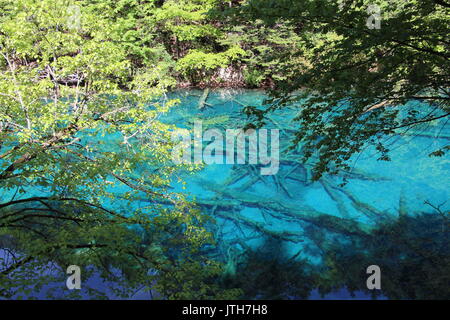 Jiuzhaigou, Jiuzhaigou, China. 9th Aug, 2017. Jiuzhaigou, CHINA-August 9 2017: (EDITORIAL USE ONLY. CHINA OUT) .The photo shows the stunning scenery of Jiuzhaigou Scenic Area before earthquake in southwest China's Sichuan Province. A 7.0-magnitude earthquake hits Jiuzhaigou on August 8th, 2017. Credit: SIPA Asia/ZUMA Wire/Alamy Live News Stock Photo
