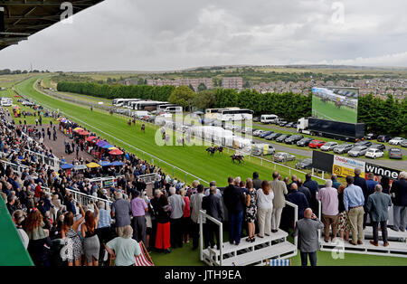 Brighton, UK. 9th Aug, 2017. Tojosimbre ridden by Martin Dwyer wins the Wainwright Selling Handicap Styakes at the Marstons Race Day in the Maronthonbet Festival of Racing at Brighton Racecourse Credit: Simon Dack/Alamy Live News Stock Photo