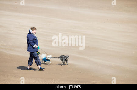 A woman walking her dogs on the beach on a windy day. UK Stock Photo