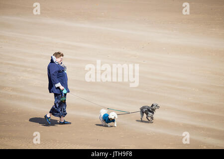 A woman walking her dogs on the beach on a windy day. UK Stock Photo