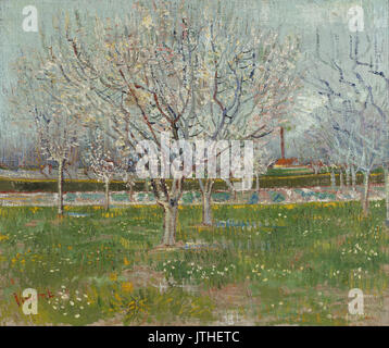 Vincent van Gogh   Orchard in Blossom (Plum Trees) Stock Photo