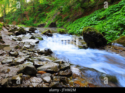 Beautiful view on the river coming from Shypit waterfall in Ukraine Stock Photo
