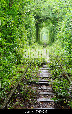 Natural tunnel of love formed by trees in Ukraine Stock Photo