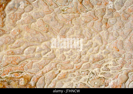 Mineral surface in Pamukkale, Turkey Stock Photo