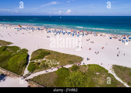 Miami Beach Florida,aerial overhead from above view,above,from above view,Atlantic Ocean,sand,sunbathers,FL17080601d Stock Photo