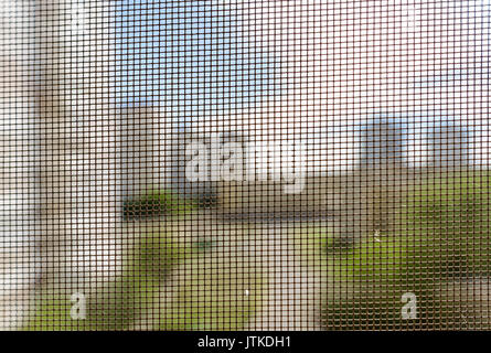 Open window with a mosquito screen to prevent insects and bugs, like flies, bees, mosquitoes or wasps from entering Stock Photo