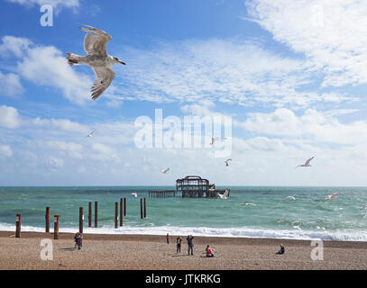 Brighton beach and the remains off the West pier with people enjoying the beach and sun with the local seagulls East Sussex Stock Photo