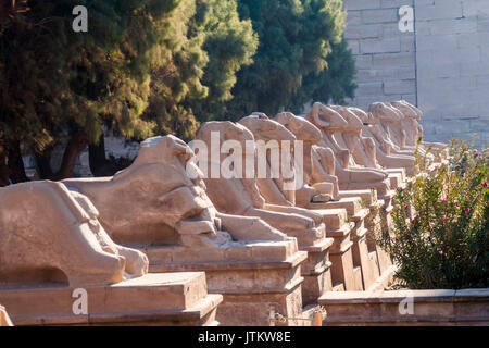 The avenue of ram-headed sphinxes at Karnak temple entrance. Stock Photo