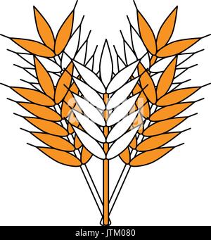 wheat vector illustration Stock Vector