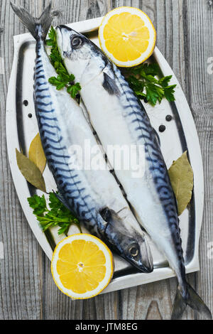 Mackerels fresh served on silver plate with lemon on a wooden background Stock Photo