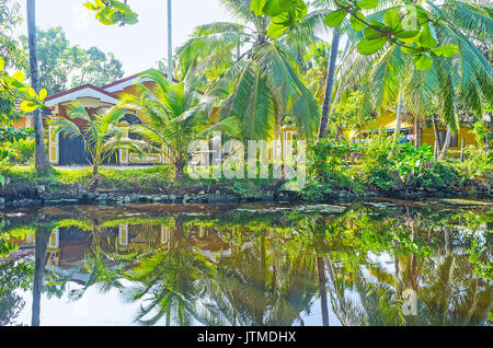The scenic cottages of Wattala suburb of Colombo are hidden behind the lush green palms on the bank of Hamilton's Canal, Sri Lanka. Stock Photo