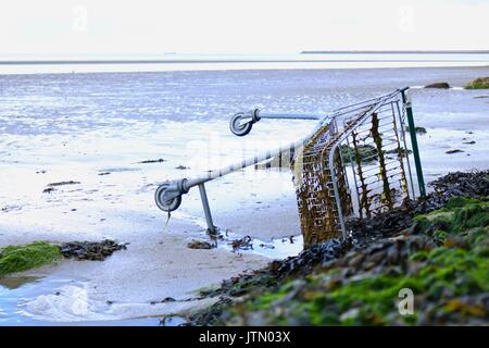 A Buoy and Crab Trap Washed Up on Portnoo Beach after a Strong