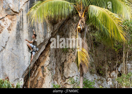 A local Cuban climber rope climbs up a cliff in Vinales, Cuba.