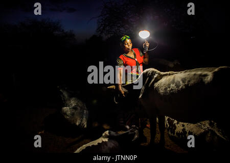 Mforo, Tanzania a village near Moshi, Tanzania. Solar Sister entrepreneur Fatma Mziray checking on her cows in the evening. Before she had the portable solar lantern she and her husband were getting up throughout the night to check on the cows because, despite the thorny brush that serves as a fence around the cows hyenas were getting in and killing cows. They discovered that when they hung a lamp up on the tree near the cows the hyenas stayed away. This has been a great solution and they no longer have to get up several times through the night. Stock Photo