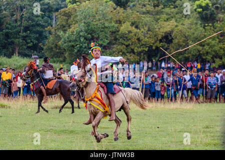 Men riding horses and throwing spear at Pasola Festival, Sumba island, Indonesia Stock Photo