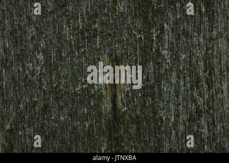 Rusty Nail in Old Barn Stock Photo
