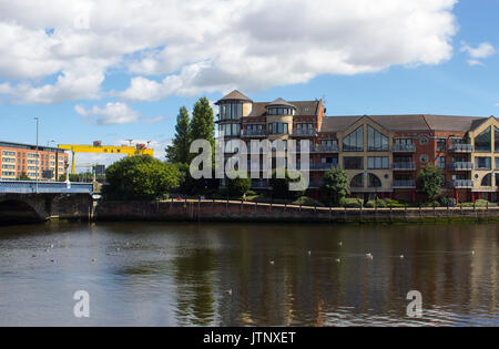 Apartments on the bank of the River Lagan beside the Queen's Bridge in central Belfast with the iconic Harland and Wolff shipyard cranes overlooking t Stock Photo