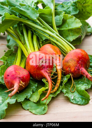 Orange beets on wooden table fresh from the garden Stock Photo