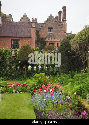 Chenies Manor House and sunken garden at tulip time on a dull day, but still beautiful. Colourful Bloms tulips, trellis, topiary. and lawn. Stock Photo