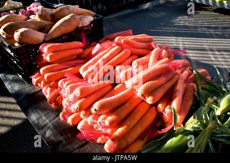 A table display of fresh nutritious vegetables at a farmer's market,  includes, Carrots - (Daucus carota subsp. sativus), and Sweet Potato - (Ipomoea  Stock Photo